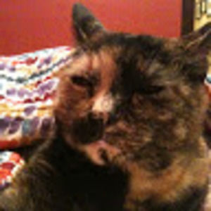 Meet your Posher, Pepper